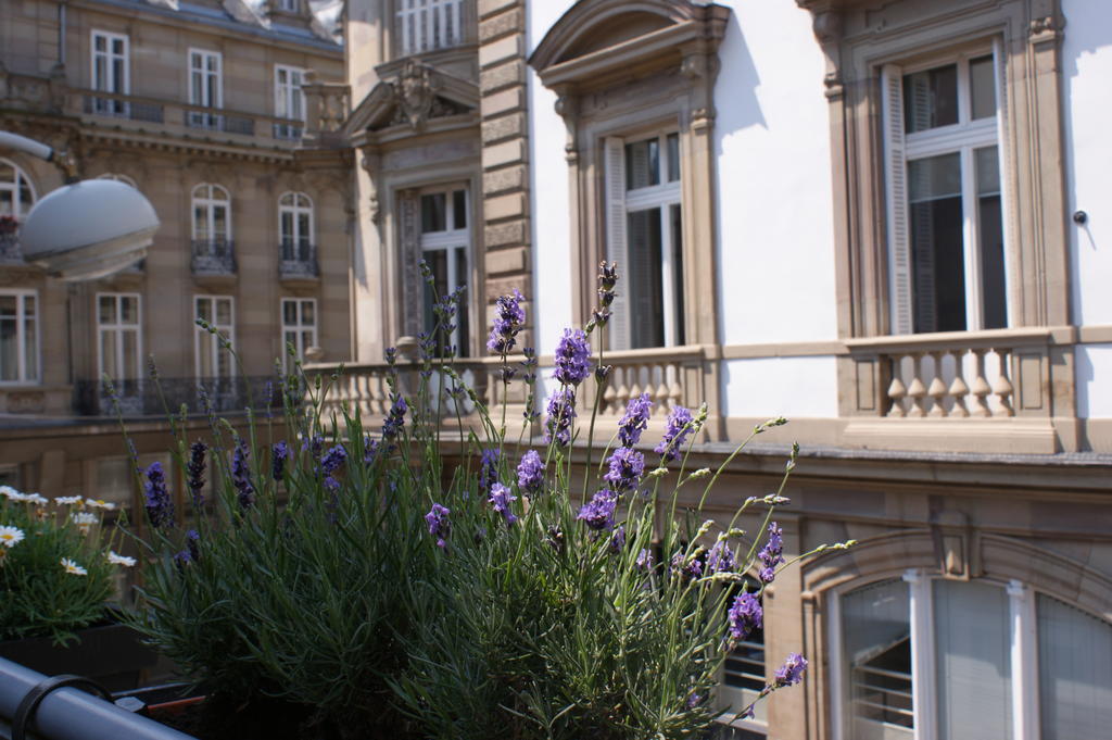 Studio De L'Hotel De Ville Strasbourg Eksteriør bilde